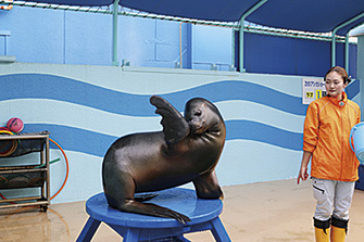 蒲郡市竹島水族館