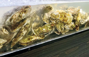 浜焼グリル離宮