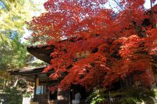 【2025】愛知の紅葉スポットおすすめ13選！見頃時期と香嵐渓や徳川園などの秋絶景も