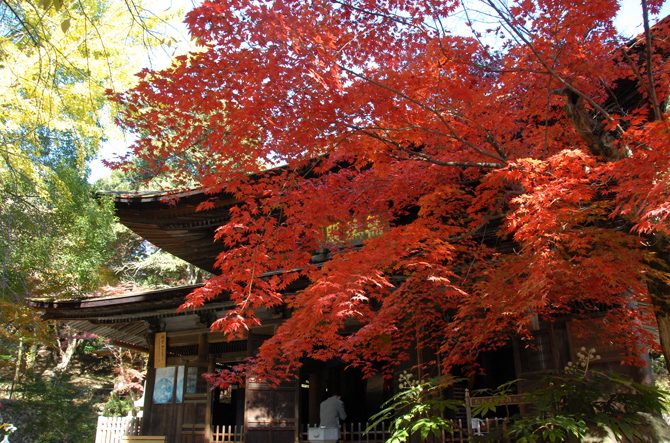 【2025】愛知の紅葉スポットおすすめ13選！見頃時期と香嵐渓や徳川園などの秋絶景も