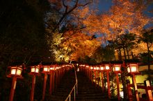 【京都】秋に行きたいおすすめ観光スポット17選！紅葉の見頃情報も＜2025＞