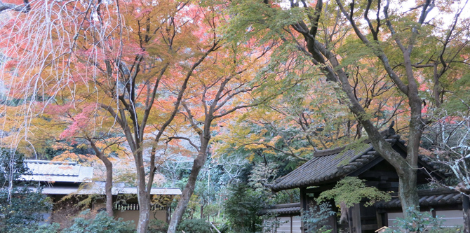 21 鎌倉 北鎌倉の紅葉名所おすすめ13選 見頃時期やライトアップ情報も じゃらんニュース 21 鎌倉 北鎌倉の紅葉名所おすすめ13選 見頃時期やライトアップ情報も じゃらんニュース