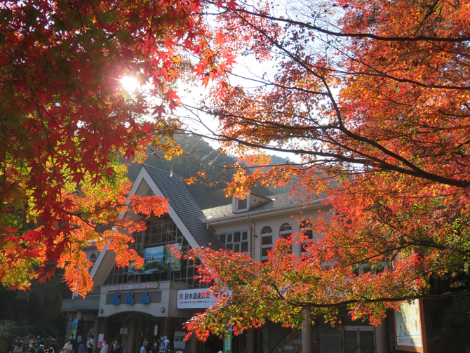 21 高尾山の紅葉の見頃時期は おすすめスポットや混雑回避法もご紹介 じゃらんニュース