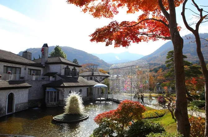 【2026】箱根の紅葉名所おすすめ9選!見頃時期と仙石原や芦ノ湖などの秋絶景も