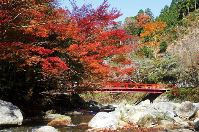 写真提供/岡崎市環境部環境政策課