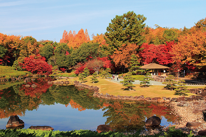 愛知県緑化センター 昭和の森
