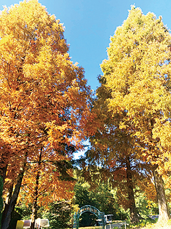 野外民族博物館 リトルワールド