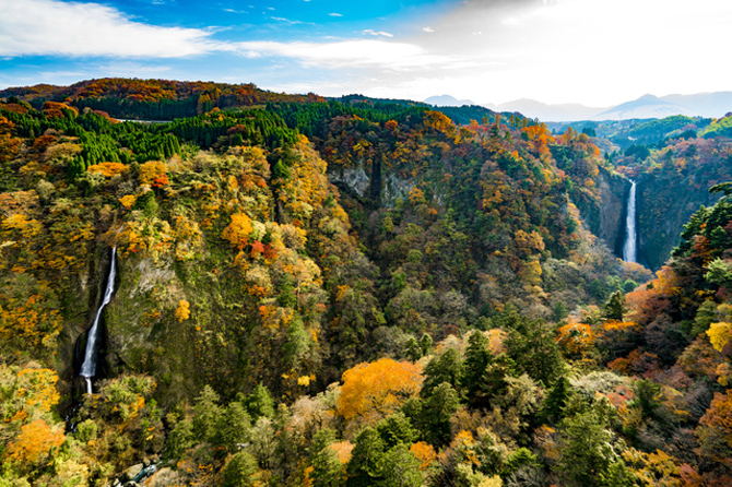 九重“夢”大吊橋