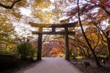 【九州】11月おすすめ日帰りドライブコース14選！紅葉や温泉、グルメを満喫＜202…