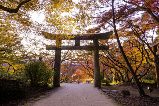 宝満宮 竈門神社