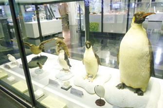 国立極地研究所 南極・北極科学館