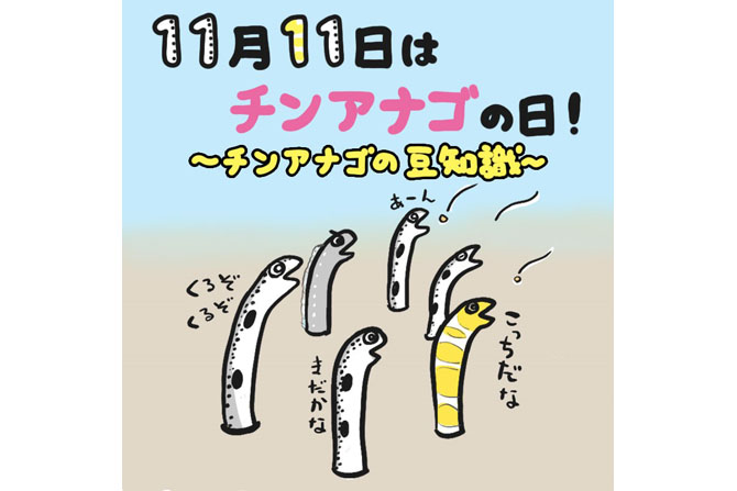 11月11日はチンアナゴの日！知っているともっと楽しい！チンアナゴの豆