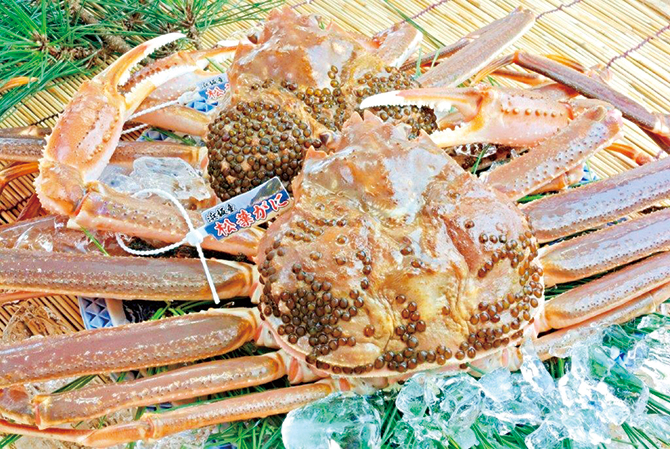 カニを何種類知っている 北陸 関西 山陰地方のブランド蟹10種を紹介 じゃらんニュース カニを何種類知っている 北陸 関西 山陰地方のブランド蟹10種を紹介 じゃらんニュース
