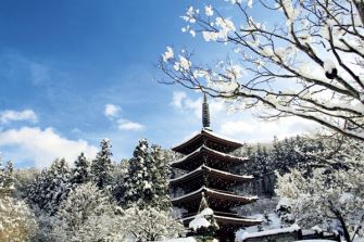 昭和大仏 青龍寺