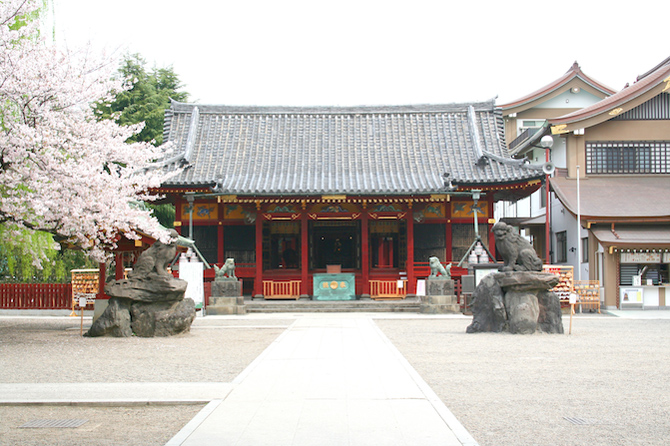(画像提供:浅草神社)