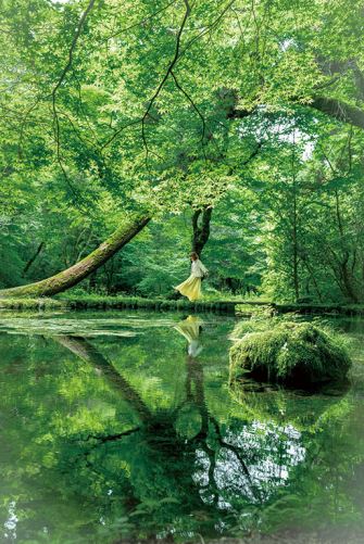 山吹水源