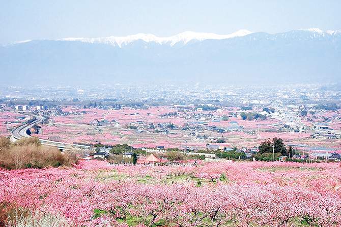 関東 22年春開催のイベント14選 花まつりや鯉のぼり祭り情報も紹介 2 じゃらんnet