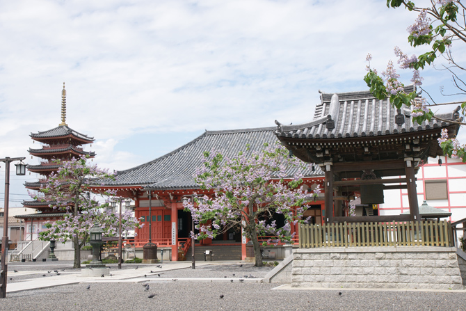 恵日山 観音寺大宝院(津観音)