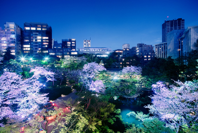 ユートピアン花提灯 sakura(桜) | 小楽園 電脳桜 らでん 弓張提灯 に名
