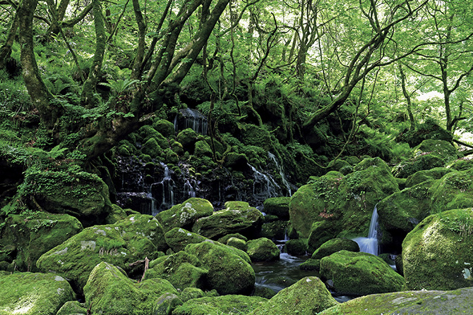 元滝伏流水