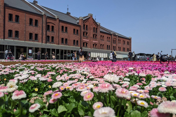 横浜赤レンガ倉庫を2万3000鉢の花々が彩る。花でつくられた
