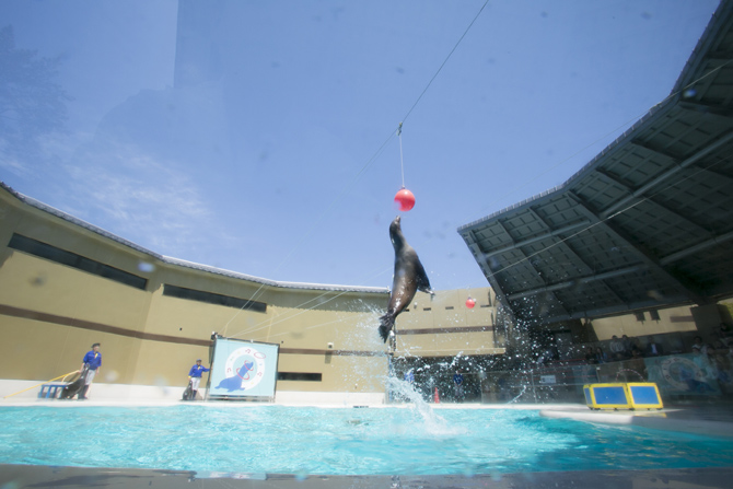 みやじマリン 宮島水族館