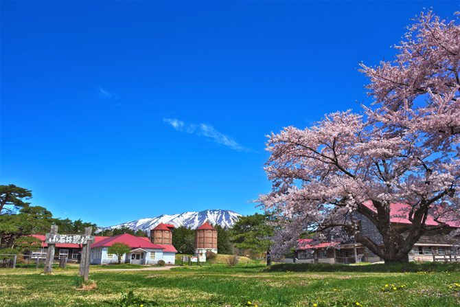 小岩井農場