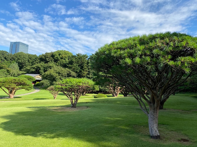 東京都内 ピクニックにおすすめの公園4選 広くて芝生のある公園をご紹介 じゃらんニュース 東京都内 ピクニックにおすすめの公園4選 広くて芝生のある公園をご紹介 じゃらんニュース