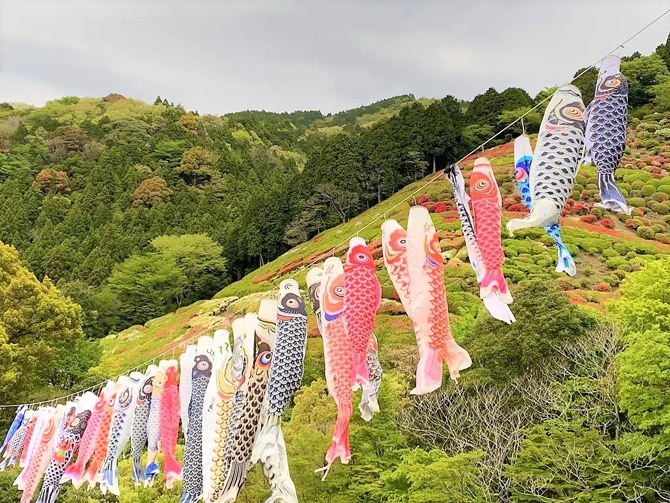熱海市姫の沢公園