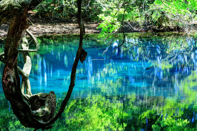 丸池様（丸池神社）