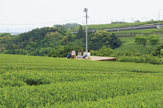 大地の茶の間