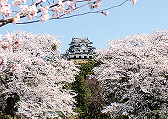 彦根城
