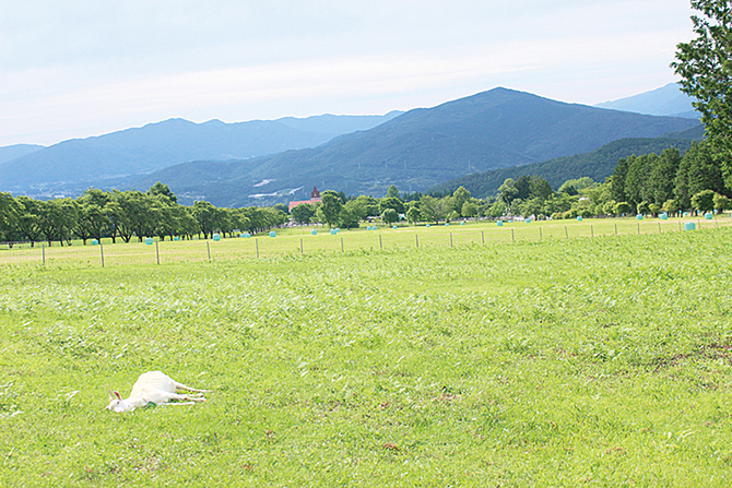 中津川市ふれあい牧場