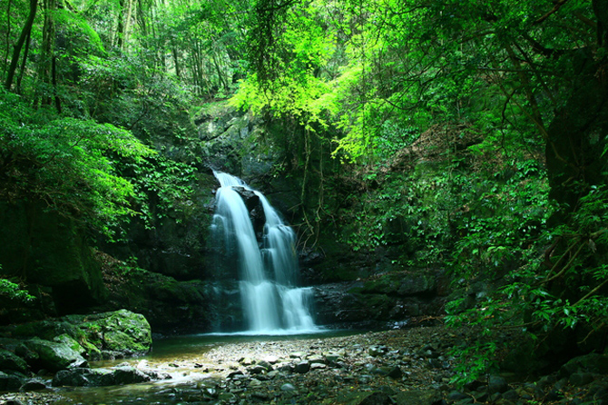 滝畑四十八滝(荒滝)