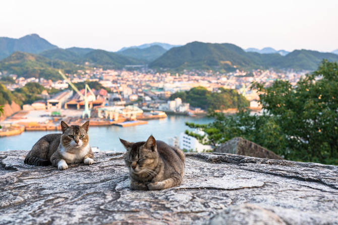 ポンポン岩(鼓岩)