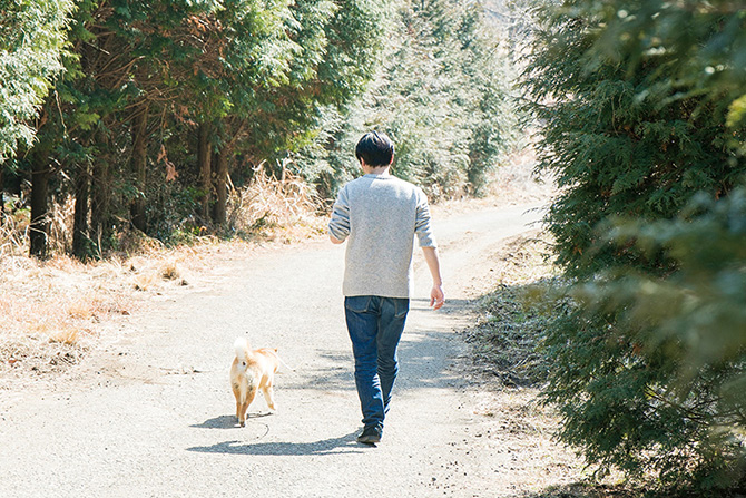 柴犬の里 高遊荘