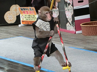 道の駅 あそ望の郷くぎの