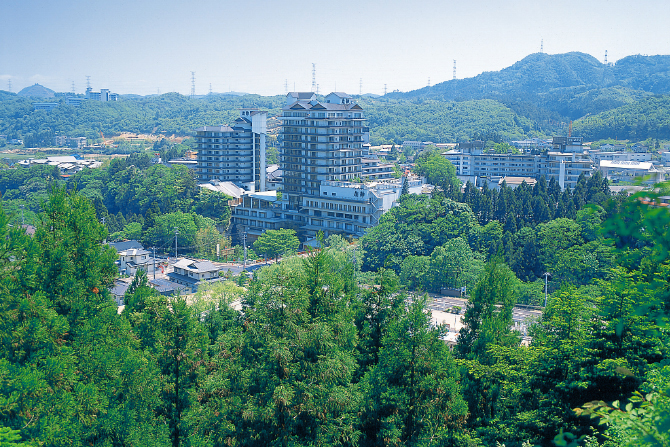 (画像提供:宮城県観光プロモーション推進室)