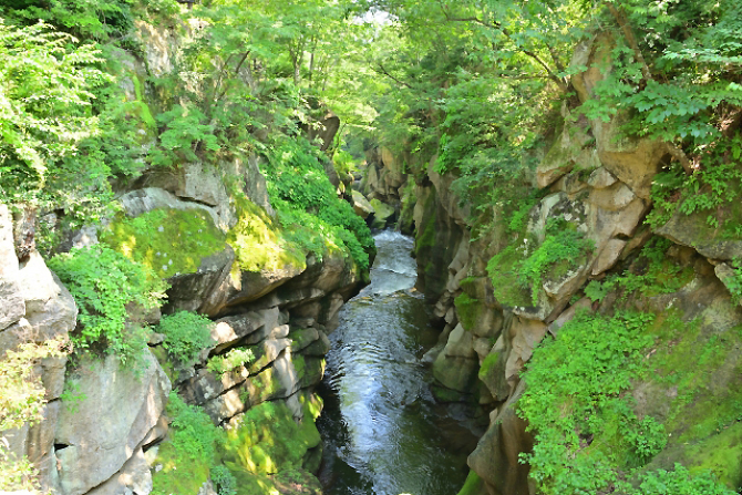 (画像提供:宮城県観光プロモーション推進室)
