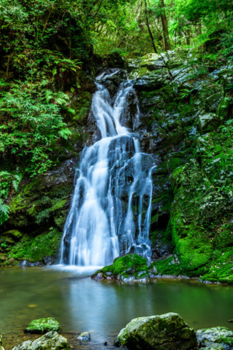 北摂随一の景勝地 摂津峡