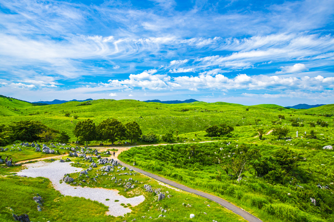 秋吉台カルストロード