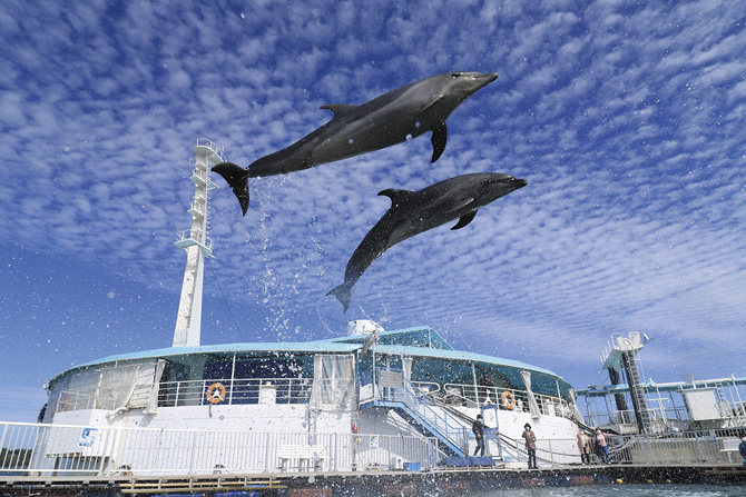 九州 夏に行きたい旅行先おすすめ9選 日帰り観光や夏休みのおでかけにも 22 3 じゃらんnet