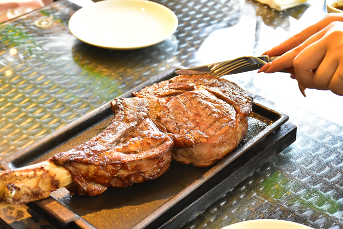 (画像提供:株式会社伊豆シャボテン公園)