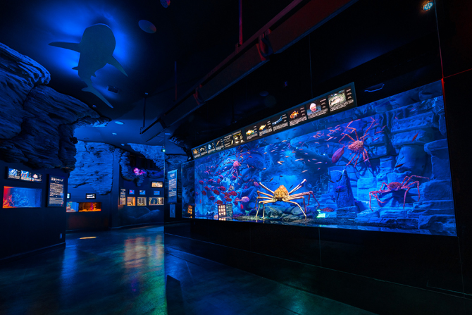 (画像提供:沼津港深海水族館)
