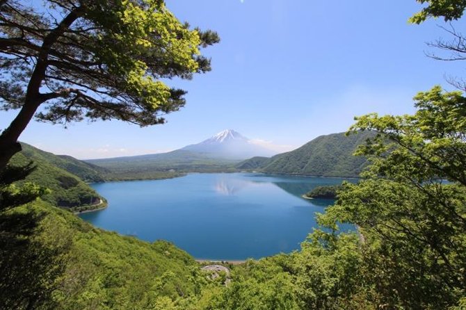 (画像提供:身延町役場 観光課)