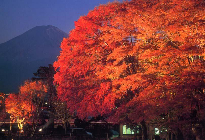 (画像提供: 富士河口湖町役場 観光課)