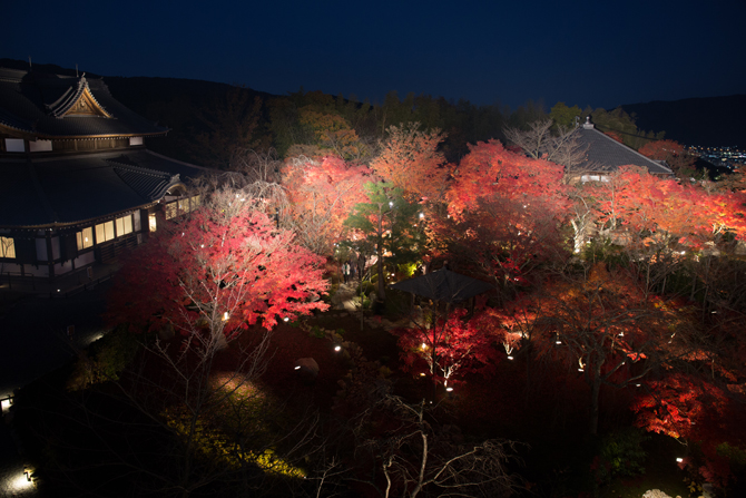 （画像提供：将軍塚青龍殿）