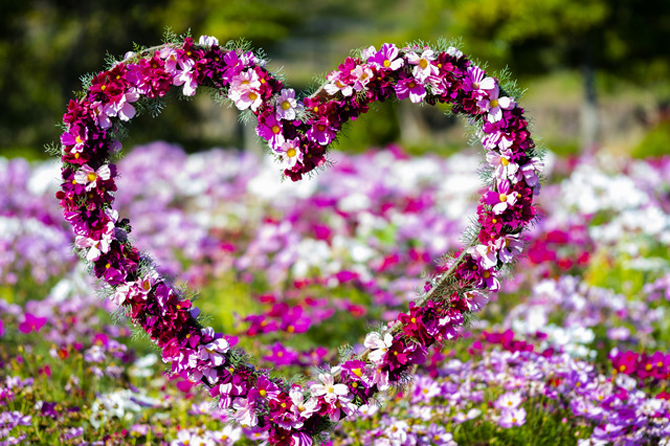 淡路ファームパーク イングランドの丘