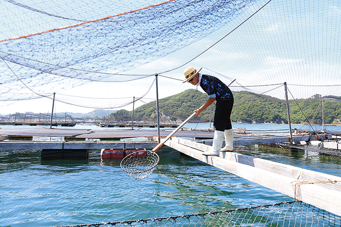 淡路島3年とらふぐ