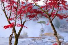 【全国】12月まで見頃の絶景紅葉スポット84選！名所やライトアップ情報も＜2022＞